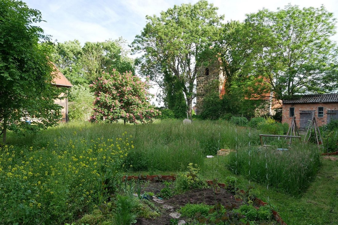 Innenhof von Hof Erdenlicht, bedeckt von hohem Gras, im Vordergrund eine Beetfläche, im Hintergrund links Wohnhaus und rechts ein Schuppen, dazwischen die benachbarte Feldsteinkirche hinter hohen Bäumen